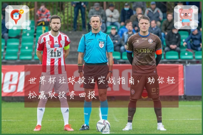 世界杯让球投注实战指南，助你轻松赢取投资回报