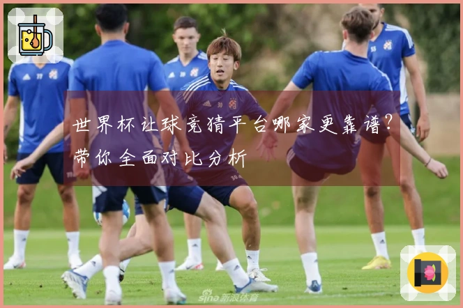 世界杯让球竞猜平台哪家更靠谱？带你全面对比分析