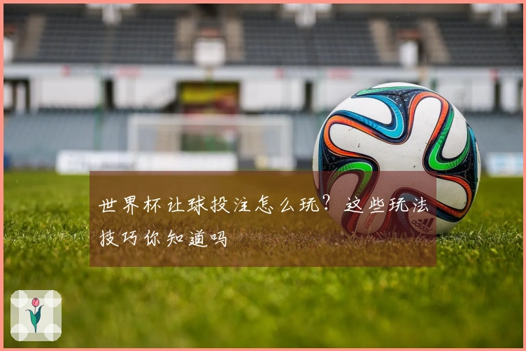 世界杯让球投注怎么玩？这些玩法技巧你知道吗