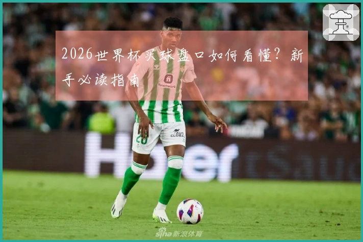 2026世界杯买球盘口如何看懂？新手必读指南