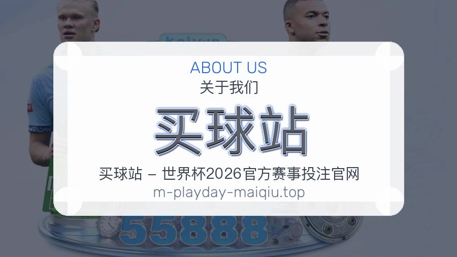 关于 买球站 团队与服务